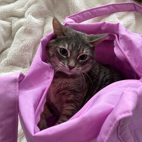 Meet your Posher, Timberlene - Picture 1 of 1